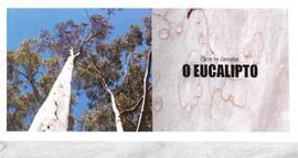 O Eucalipto